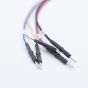 FLX2.16 - ECU BMW MDG1 cable